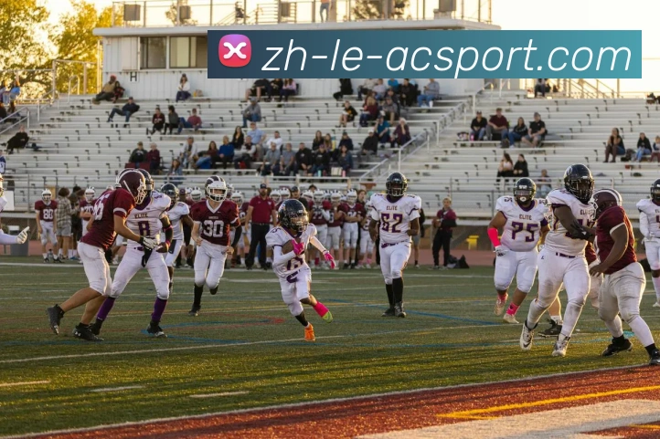 米兰体育官网APP 封面图